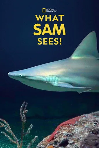 What Sam Sees (2018) posteri