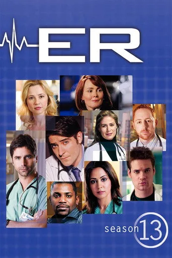 ER 13. sezon posteri