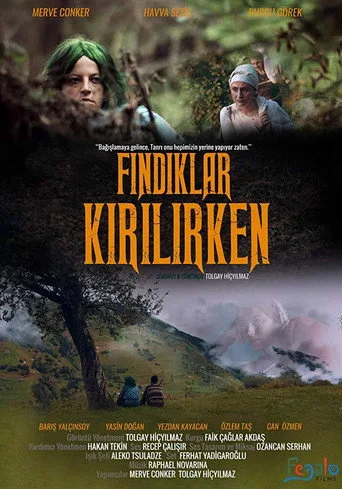Fındıklar Kırılırken (2018) posteri