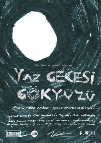 Yaz Gecesi Gökyüzü (2014) posteri