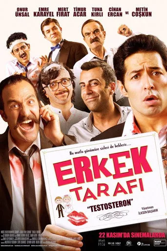 Erkek Tarafı: Testosteron (2013) posteri