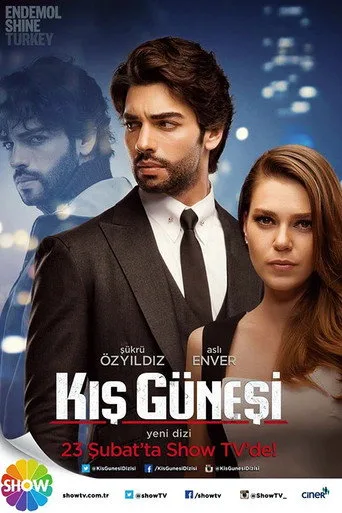 Kış Güneşi (2016) posteri