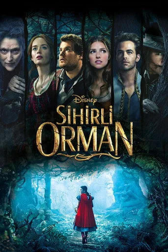 Sihirli Orman (2014) posteri