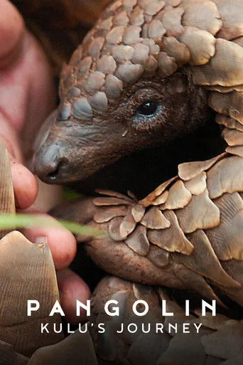 Pangolin: Kulu'nun Yolculuğu (2025) posteri