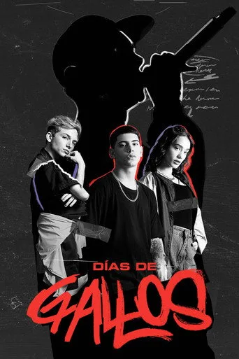 Días de Gallos 1. sezon posteri