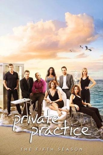 Private Practice 5. sezon posteri