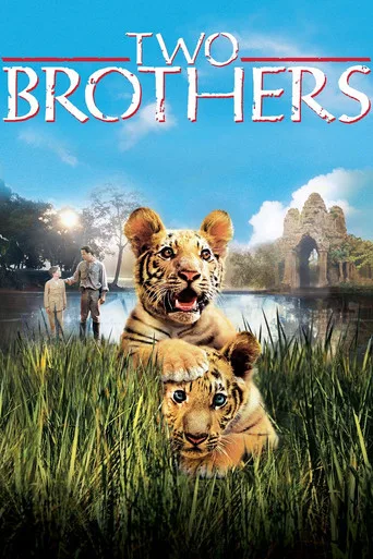 İki Kardeş (2004) posteri