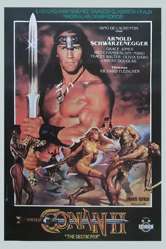 Conan II (1984) posteri