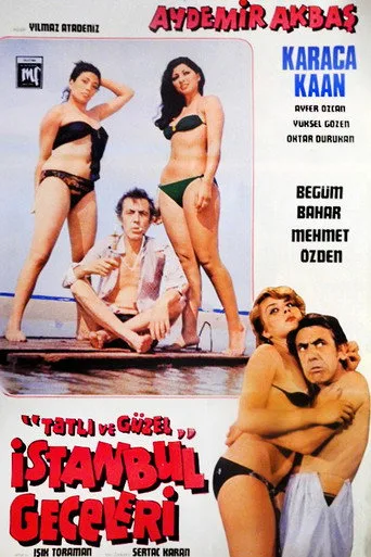 Tatlı ve Güzel İstanbul Geceleri (1979) posteri