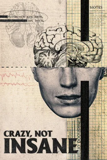 Crazy, Not Insane (2020) posteri