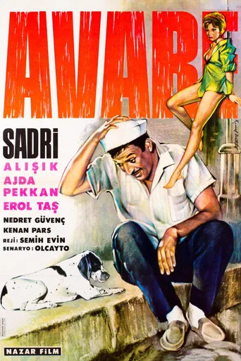 Avare (1965) posteri