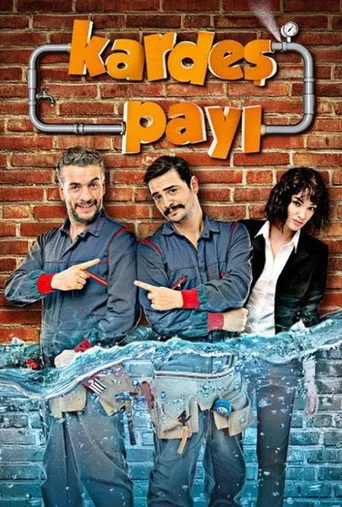 Kardeş Payı (2014) posteri