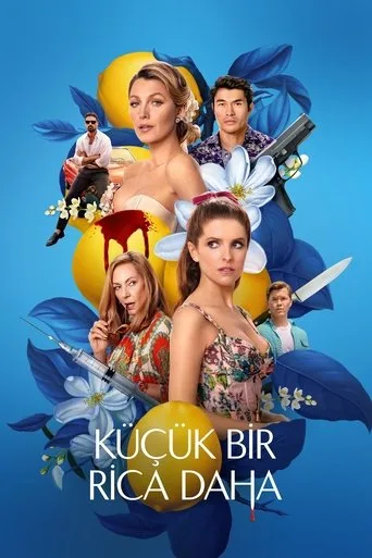 Küçük Bir Rica Daha (2025) posteri