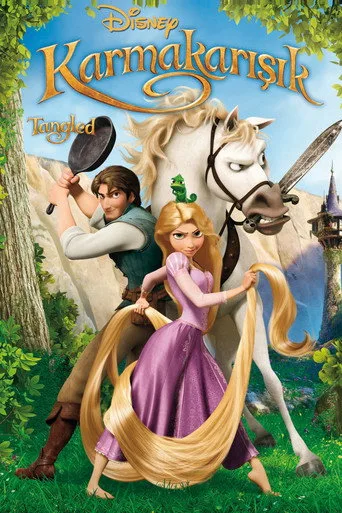 Karmakarışık (2010) posteri