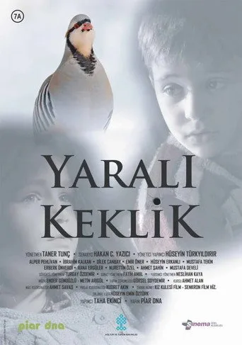 Yaralı Keklik (2019) posteri