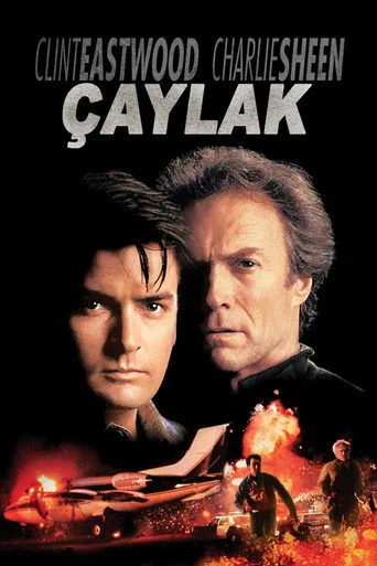 Çaylak (1990) posteri