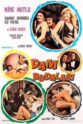 Dam Budalası (1975) posteri