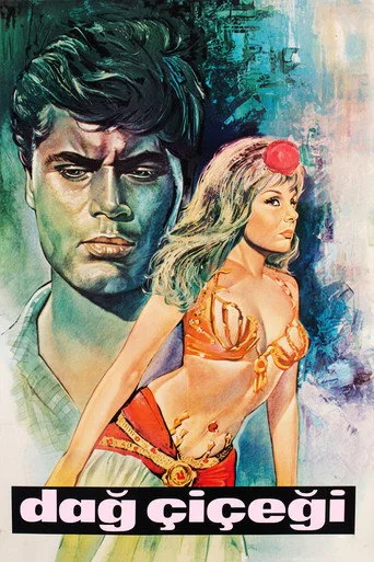Dağ Çiçeği (1965) posteri