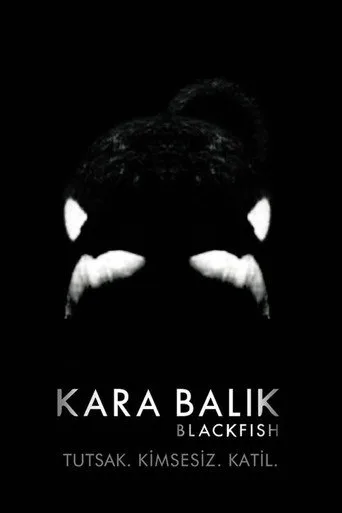 Kara Balık (2013) posteri