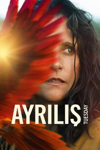 Ayrılış (2024) posteri