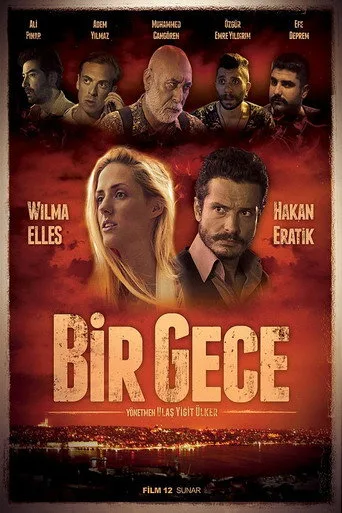 Bir Gece (2015) posteri