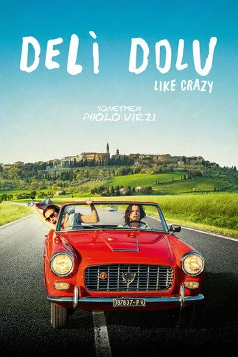 Deli Dolu (2016) posteri
