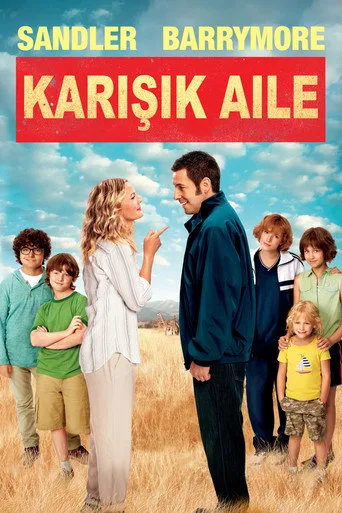 Karışık Aile (2014) posteri