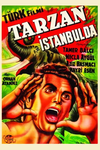 Tarzan İstanbul'da (1952) posteri