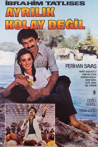 Ayrılık Kolay Değil (1980) posteri