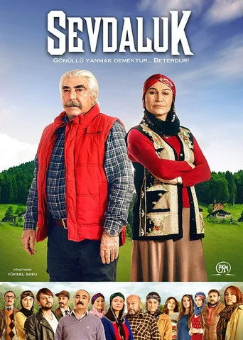 Sevdaluk (2013) posteri