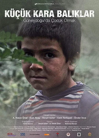 Küçük Kara Balıklar - Güneydoğuda Çocuk Olmak (2014) posteri