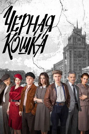 Чёрная кошка (2016) posteri