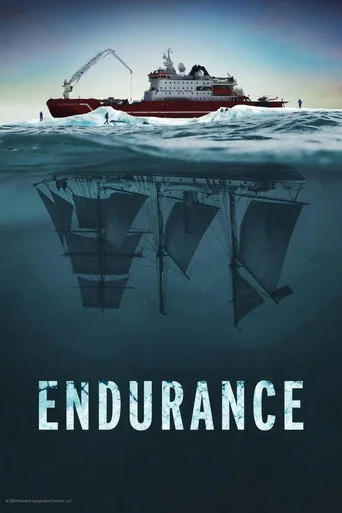 Batık Gemi Endurance (2024) posteri