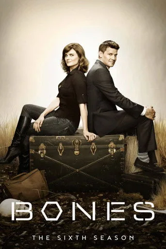 Bones 6. sezon posteri