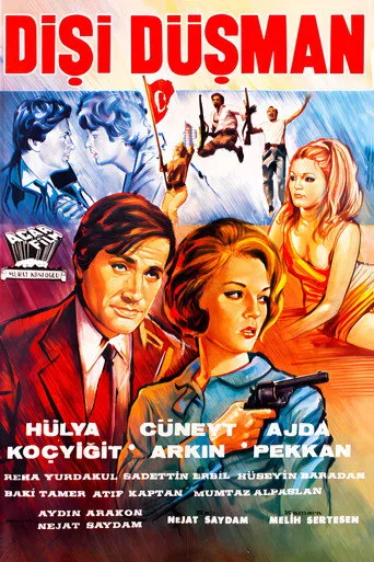Dişi Düşman (1966) posteri