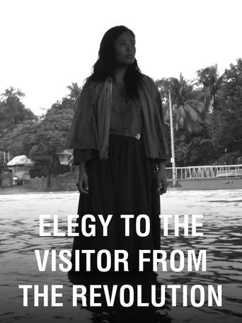 Elehiya sa Dumalaw Mula sa Himagsikan (2011) posteri