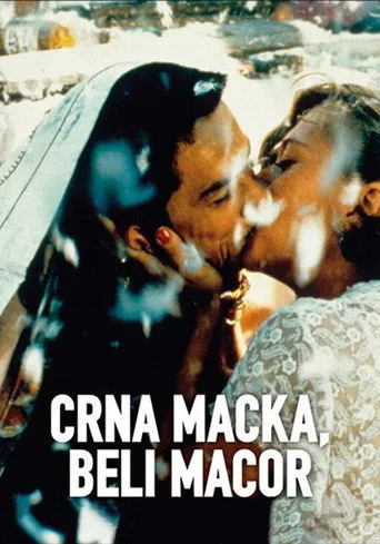 Kara Kedi, Ak Kedi (1998) posteri