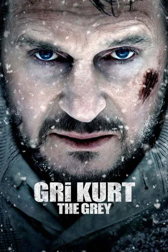 Gri Kurt (2012) posteri