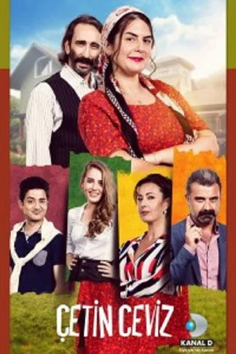 Çetin Ceviz (2016) posteri