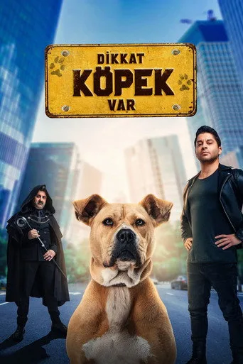 Dikkat Köpek Var (2022) posteri