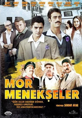 Mor Menekşeler (2011) posteri