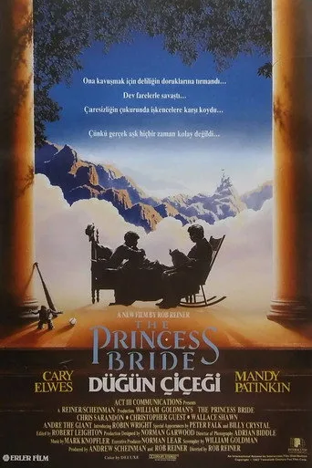 Düğün Çiçeği (1987) posteri