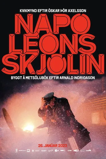 Napolyon Operasyonu (2023) posteri