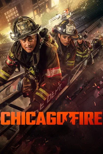 Chicago Fire 13. sezon posteri