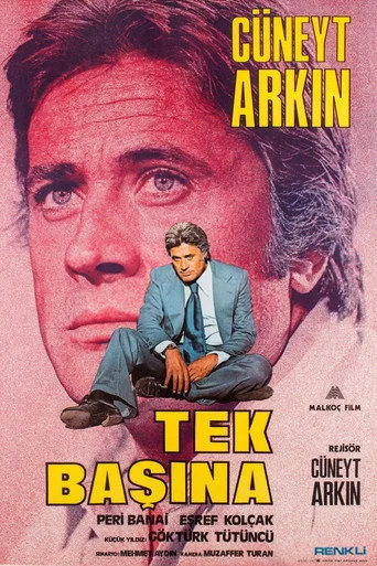 Tek Başına (1976) posteri