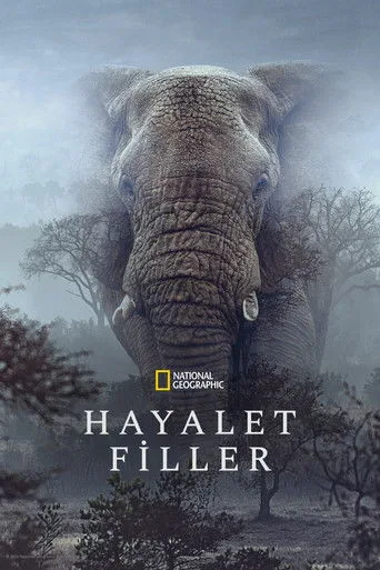 Hayalet Filler (2026) posteri