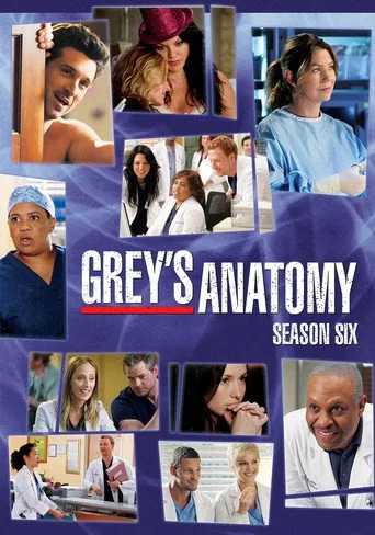 Grey's Anatomy 6. sezon posteri