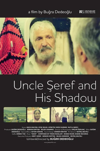 Şeref Dayı ve Gölgesi (2013) posteri