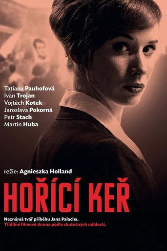 Devrim Ateşi (2013) posteri