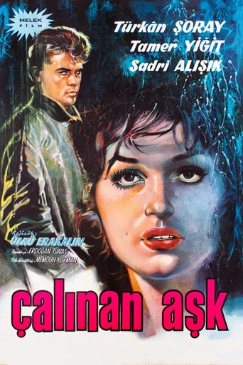 Çalınan Aşk (1963) posteri